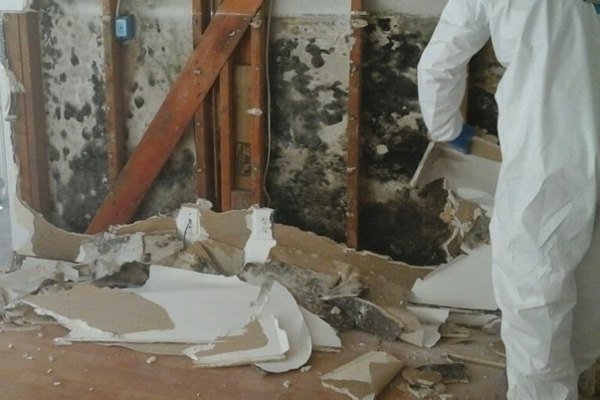 Mold Removal McAlester OK