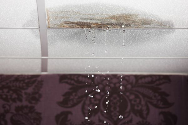 How to Spot Signs of Water Damage