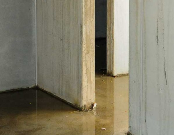 How to Handle Flooding in Your Basement or Crawl Space