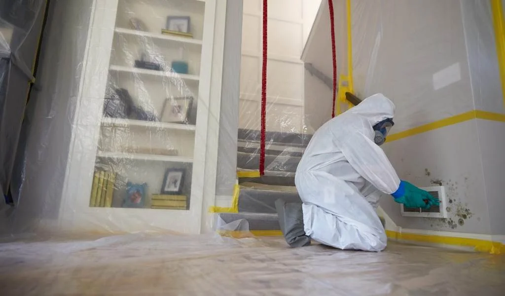 Mold Removal McAlester OK