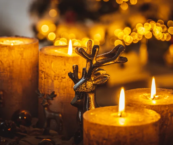 12 Days of Fire Safety